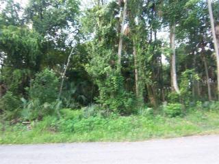 1360 Sioux Trl, Deltona, FL 32725-2443