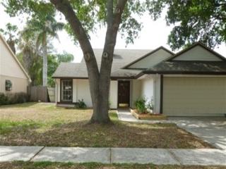 2001 Redbridge Dr, Brandon FL  33511-8393 exterior