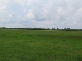 592 County Road 4668, Rhome, TX 76078-5172