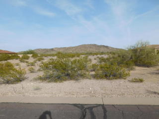 8827 Santa Elizabeth Dr, Goodyear, AZ 85338-7014