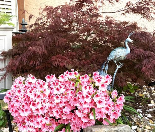 4754 Antelope Cir, Fairfield CA  94534-3946 exterior