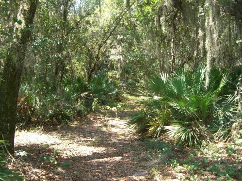 14717 Dupree Rd, Wimauma FL  33598-6211 exterior