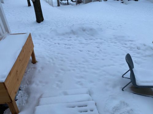 16206 71 St, Otsego MN 55330-4627 exterior