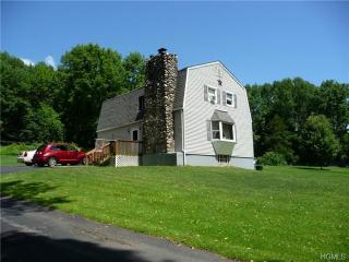 263 Galley Hill Rd, Godeffroy, NY 12729-5209