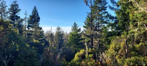 43400 Iversen Rd, The Sea Ranch CA  95445-7582 exterior