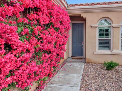 41428 Calle Pampas, Indio, CA 92203-7795