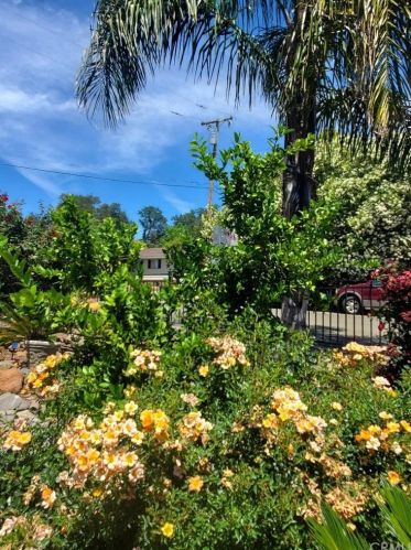 28 Rockridge Rd, Oroville CA  95966-3639 exterior