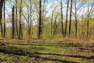 6172 Highway 230, Lyles, TN 37098-2012