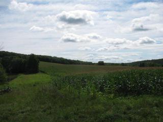 4540 Starr Rd, Campbell, NY 14821-9761