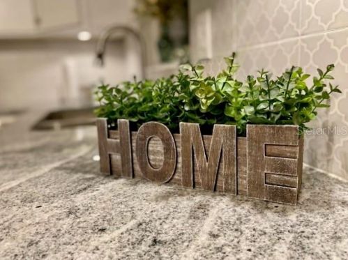 4306 Newgate Ave, Tarpon Springs FL  34691-1707 exterior