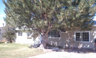 4305 Greenwillow Ln, Idaho Falls ID  83401-3722 exterior