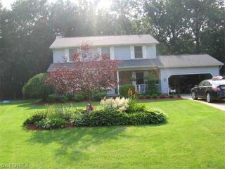 6536 Carter Blvd, Concord Township OH  44060-3513 exterior