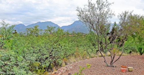 4537 Scenic Mountain Dr, Tucson, AZ 85750-7402
