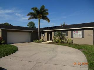 3207 Florene Dr, Orlando, FL 32806-6421