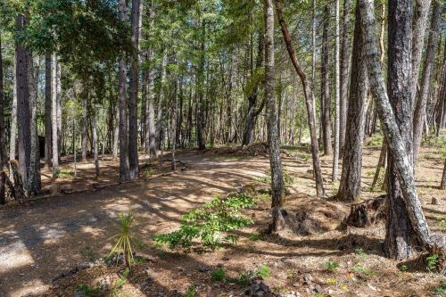 4800 Ridgewood Rd, Willits, CA 95490-7748