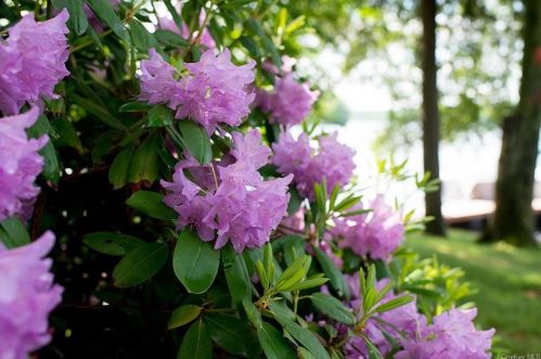 10 2nd Rd, Rock Hill NY  12775 exterior