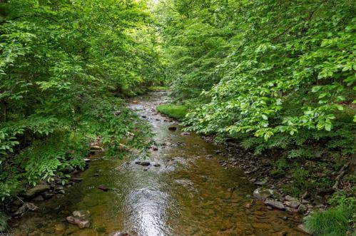 26 Spruce Run Rd, Glen Gardner, NJ 08826-3241