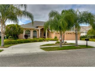 16051 Ivy Lake Dr, Odessa, FL 33556-6043