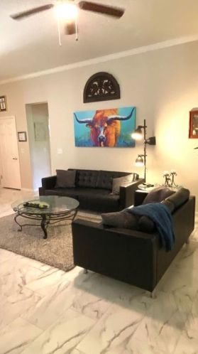 103 Dan Moody Trl, Georgetown TX  78633-4520 exterior