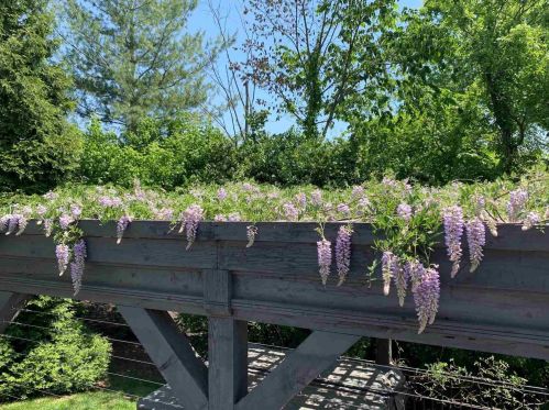 1233 Thistleridge Dr, Taylorsport KY  41048-8774 exterior