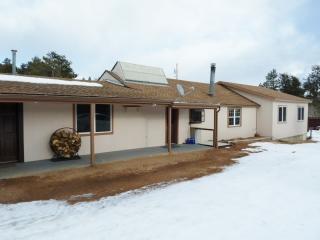 154 Silver Garter Rd, Bailey, CO 80421-1030