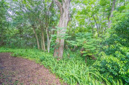 620 Adelle Ave, Deland FL  32720-3359 exterior