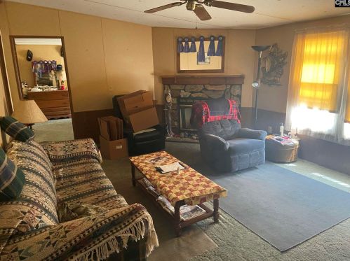 3861 Calks Ferry Rd, Pelion, SC 29123-9011