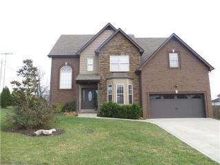 3301 Franklin Meadows Way, Clarksville, TN 37042-7749