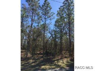162 Daisy St, Homosassa, FL 34446-6008