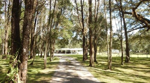 17639 Palamino Lk Dr, Dade City FL 33523-1949 exterior