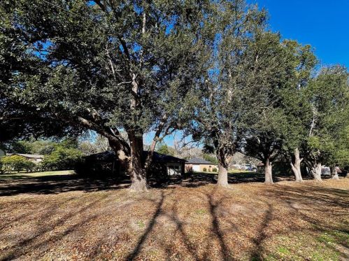 199 County Road 4190, Woodville, TX 75979-8871