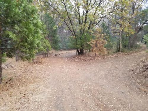 2557 Forbestown Rd, Oroville, CA 95966-8945