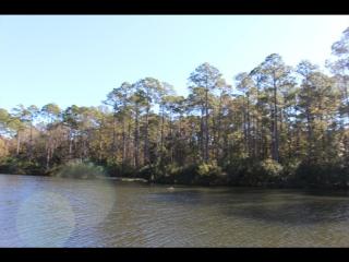 273 Waterfowl Rd, Bluffton SC  29910 exterior