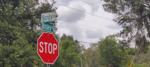 17033 Nandy Ln, Brooksville, FL 34610-7798