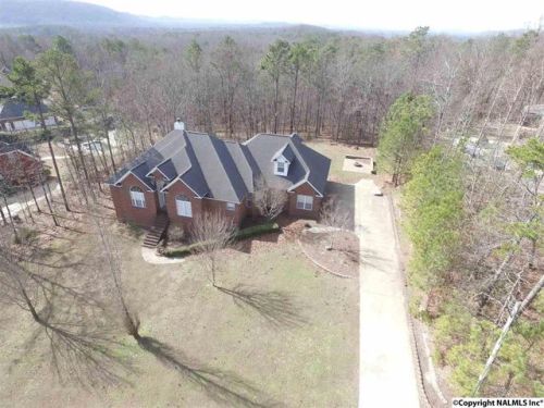 162 Hickory Rdg Dr, Gadsden AL  35905-9603 exterior
