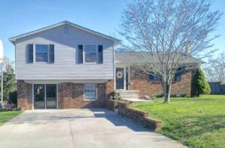 311 Dogwood Ln, Jacksboro, TN 37757-2832