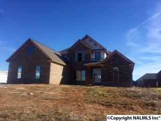 109 Alex Trace Dr, Meridianville, AL 35759-1826