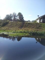 292 Maxwell Dr, Welaka, FL 32193-3414