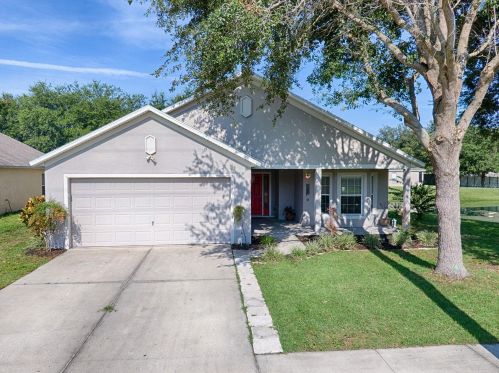 2401 Merry Rd, Tavares, FL 32778-5752
