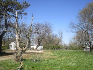 450 Arthur Bradley Rd, London, OH 43140-9537