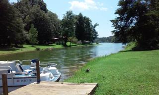 229 Lake Cove Rd, Mooresburg, TN 37811-5541