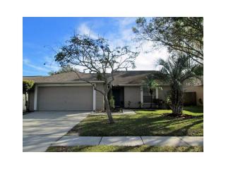 11814 Cedarfield Dr, Riverview, FL 33579-7113