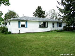 1557 Mcvean Rd, Caledonia, NY 14423-9633
