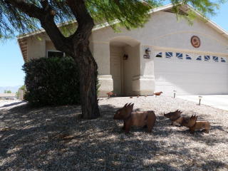 9625 Sascha St, Tucson, AZ 85748-8174