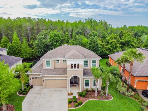 19329 Autumn Chase Ct, Land O Lakes, FL 34638-2711