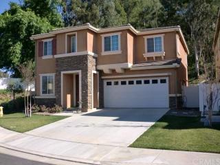 1602 Park Vista Way, West Covina CA  91791-4009 exterior