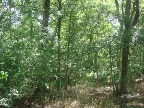 194 Triangle Acres, Lost Pines, TX 78612-3493