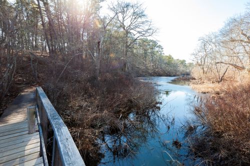 210 West Rd, Wellfleet MA  02667-8244 exterior