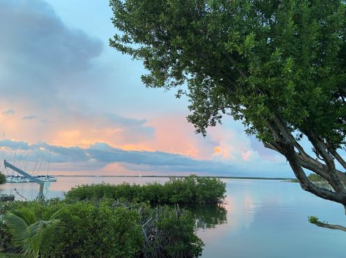 356 Buttonwood Shores Dr, Key Largo, FL 33037-2404