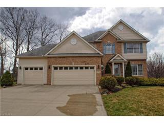 38810 Kyle Cv, Willoughby, OH 44094-8065